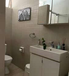 Princess Of Wales Park (D10), Semi-Detached #533462481